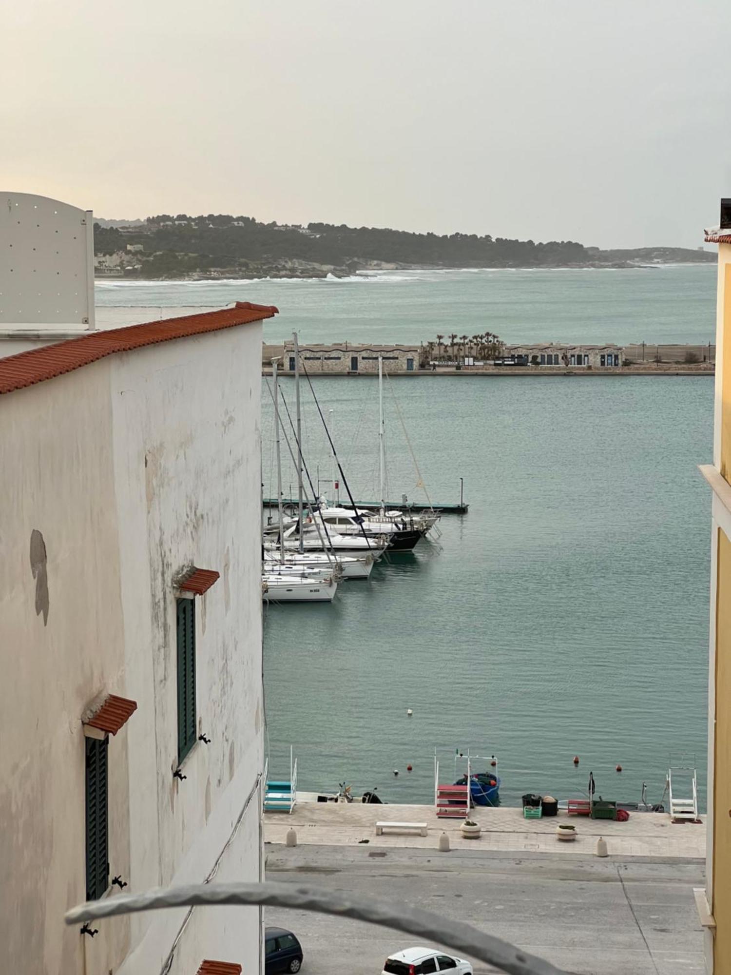 North Wind Luxury Home Vieste Eksteriør billede